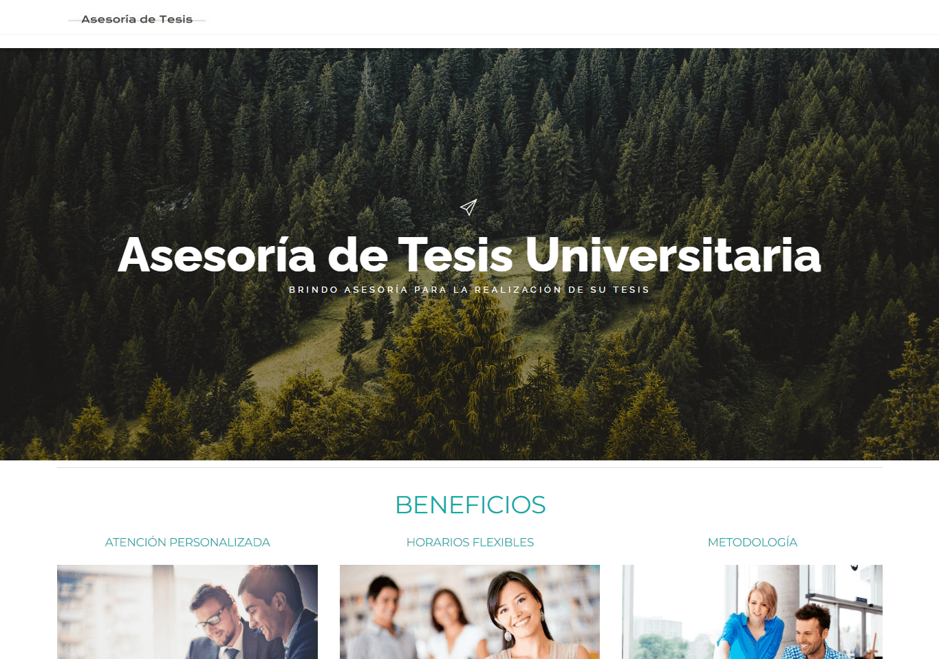 Asesoría de Tesis preview